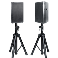 INSIGAI Set Completo de Altavoces Profesionales Subwoofer Woofer de 12, 15 y 18 Pulgadas Sistema de PA Pasivo y Activo para Escenario