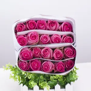 Single Long Stem Fresh Cut Rose Blumen Revival Hot Pink Rose Bouquet für Home Decoration