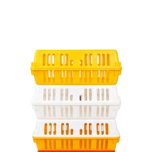 Cage de transport pour volailles en promotion – Caisses de transport pour poulets, canards et oies – Cages pliables en plastique pour le déménagement - Product Image 2