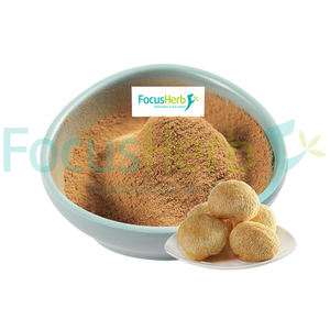 Extracto de hongo de Melena De León orgánico Focusherb de alta calidad en polvo 30% Extracto de melena de León de polisacárido - Product Image 1