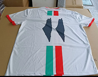 Maillot de football Palestine en polyester à manches courtes avec logo brodé personnalisé pour les fans, idéal pour les matchs de football et le quotidien – Vente en gros