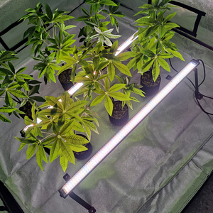Barres lumineuses LED <span class=keywords><strong>de</strong></span> culture linéaires en aluminium 100W à PPFD élevé, à intensité variable, à spectre rouge lointain, <span class=keywords><strong>pour</strong></span> sous-couverture, 3ft et 4ft, <span class=keywords><strong>pour</strong></span> salle <span class=keywords><strong>de</strong></span> culture - Product Image 3