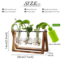 Jardinière en verre à 3 ampoules pour décoration intérieure avec support en bois-Vase hydroponique rotatif pour plantes aériennes, jardin de bureau rétro pour la maison/le bureau