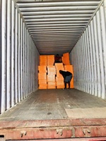 Nouvelle cage de transport pour volailles Berys BYS-C003 jaune de type H 29,5''x21,6''x10,6'' en PP, capacité 12-15 poulets, 5,8 kg, avec corde de fixation, facile à utiliser