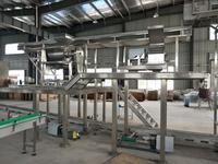 Industriële Productielijn Voor Ingeblikte Fruitverwerkingsmachines Voor Papaja-Ananassap Groente-En Fruitmachines