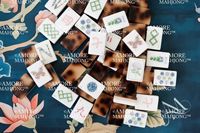 Nouvel ensemble de tuiles de mahjong Southern Garden 2026 en écaille de tortue blonde pour le divertissement