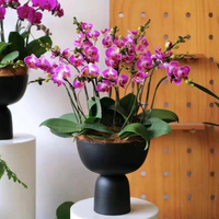 Pot Bunga Anggrek Fiberglass Mewah Modern Nordik Hitam Putih Besar Ramah Lingkungan Berkaki Tinggi