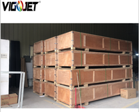 Plotter Vigojet de 1.6m con Cabezal de Impresión Dx5 Xp600 para Impresión de Lonas, Vinilos, Pósters y Tarjetas con Tinta Eco Solvente de 2500mm