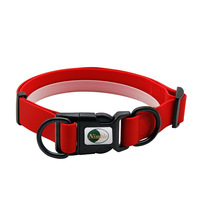 Collier pour chien classique imperméable et écologique en PVC avec laisse de sécurité pour les jeux en plein air pour les chiens de petite et moyenne taille