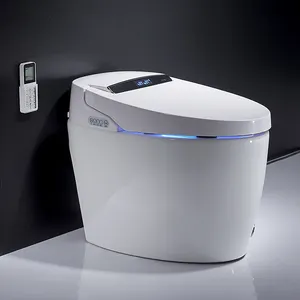Grosir Bidet Elektrik Jepang Satu Buah Murah, Keramik Sensor Kaki Otomatis Tanam Inodoro Wc Cerdas Mangkuk Toilet Pintar