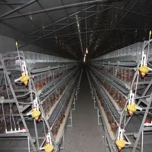 قفص دجاج من الأسلاك المجلفنة للدواجن مخصص مدعوم من المبيعات المباشرة من المصنع