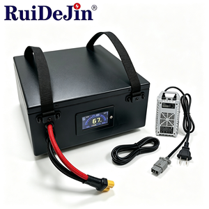 Batterie lithium-ion haute densité énergétique personnalisée avec chargeur pour robot AMR, centre d'expédition e-commerce - Product Image 2