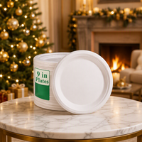 Assiette jetable ovale de 10 pouces, biodégradable, vaisselle écologique pour la maison, les fêtes et l'usage quotidien