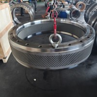 Matrice annulaire en acier inoxydable pour granulateur Andritz PM30, pièces de granulateur à granulés de bois, longue durée de vie