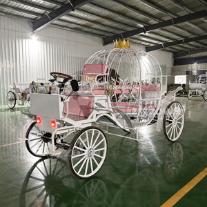 2025 nhà máy Outlet Hoàng Gia công chúa đám cưới ngựa vận chuyển điện 4 bánh xe Cinderella bí ngô vận chuyển đèn LED - Product Image 2