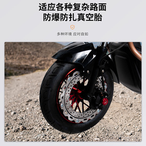 Motocicleta Eléctrica FILONG Warhawk 42kg con Frenos de Cubo Delantero y Trasero, Batería de Plomo-Ácido Estándar, Uso Urbano y Rural - Product Image 3