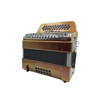 SEASOUND Accordéon professionnel 34 boutons 12 basses 5 registres avec grille et boutons noirs violets JB3412D Acordeon Musical OEM