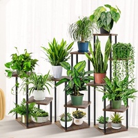 Support de plantes en métal à 5 niveaux, étagère à fleurs en bois d'angle pour plusieurs plantes