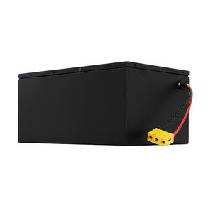 Yüksek performanslı özel pil paketleri pil kapasitesi göstergesi elektrik triportör bataryası - Product Image 2