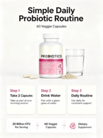 Jn OEM/ODM Vente en gros Probiotiques Prébiotiques Enzymes Digestives en Capsules - Sans Gluten 60 Capsules pour Adolescents, à prendre 2 fois par jour, Durée de 24 mois