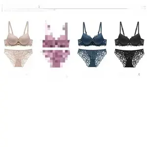 High Quality Lace Bralette 3 Color Embroidered Two Piece Lingerie Bra and Panties Set for Women Push Up Bra Set Brazil Georgia