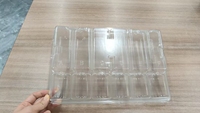 Boîte de transport en plastique PET transparent à 6 cavités pour plantes vivantes, emballage blister pour pépinière