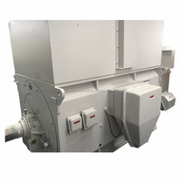 Moteur asynchrone triphasé à anneau collecteur haute tension YRKK500-12 250kW 10kV 489 tr/min IP54 50Hz Efficacité IE3 pour l'exploitation minière