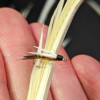 100 Stück/Bündel Gänse feder Nymphe Fliegen Fliegen binde materialien ABS Schwanz material für River Lake Stream Fliegen fischen