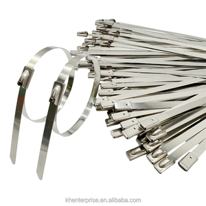 SSCT 316 304 из нержавеющей стали кабельные стяжки из Нержавеющей Стали Стяжки - Product Image 3