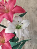 Nouveauté, marque Bangni, fleurs artificielles en EVA de haute qualité, décoration de style chinois classique, couleur et taille personnalisables