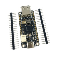 5723 RP2040 双核开发板，带 USB Type-C 和 Type-A 主机端口、8MB 闪存、锂聚合物电池充电器