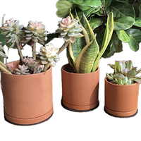 Pots de fleurs en céramique terracotta pour plantes succulentes et cactus, avec soucoupe perméable à l'eau, style moderne et épuré, pour intérieur/extérieur