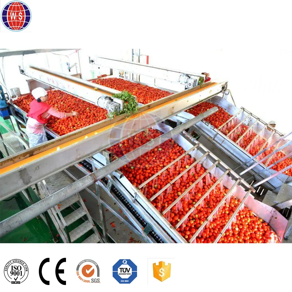 Domates püresi ticari domates püresi yapma makinesi üretim hattı