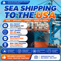 Services d'expédition express économiques, services rapides de transport maritime et aérien, services DDP, entreposage et consolidation pour les États-Unis
