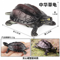 Figura de tortuga de simulación, juguete educativo de animales, tortuga de tierra realista, tortuga marina, estrella, modelo de tortuga, juguete cognitivo para niños