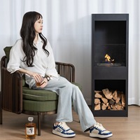 Cheminée autoportante portable avec éthanol inséré pour une utilisation intérieure, décoration d'ambiance paysagère dans le salon
