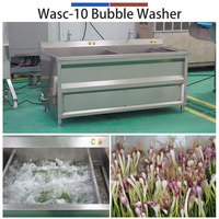 Commerciële 3-tanks groente- en fruitwasmachine 300-500kg/uur RVS ozonbelwasmachine motor