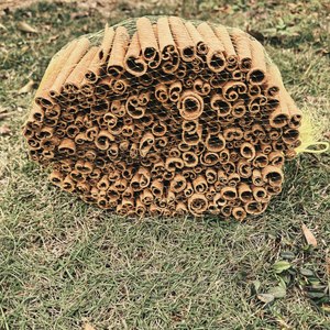 Bastoncini di cannella grezza essiccata di alta qualità, naturali, singoli, di Guangxi, 8-10 cm - Product Image 4