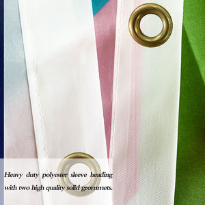 3x5FT полиэстер, низкая цена, прямой Элли-ЛГБТ, прямой альянс, флаги гордости с двумя кольцами - Product Image 3