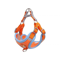 Nouveau Harnais pour Chien Anti-Traction Réglable avec 2 Clips de Laisse, Harnais et Laisse Réfléchissants pour Chiens de Petite et Moyenne Taille