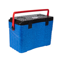 Kotak Pendingin Terisolasi Busa EPP Portabel dengan Layar Temperatur, Anti Bocor, Penyimpanan Termal, dan Lampu