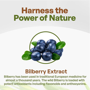 จำหน่ายผงสารสกัดบิลเบอร์รี่ออร์แกนิคที่ได้รับการรับรอง ผงบิลเบอร์รี่ น้ำผงบิลเบอร์รี่ - Product Image 3