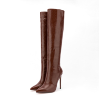 Bottes d'équitation mi-hautes pour femmes, nouvelle collection automne 2026, talons aiguilles, fermeture éclair latérale, chaussures à talons hauts tendance