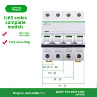 Interruptor automático Schneider Micro iC65N 1P 63A 50A 40A 32A 25A 20A 16A 10A 8A 6A 4A 3A 2A 1A con unidad de disparo tipo C