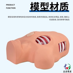 Modèle de drainage thoracétique ; Modèle de thoracoscopie ; Modèle de traitement de la zone pleurale fermée pour le pneumothorax. - Product Image 5