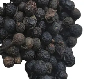 Fornitura all'ingrosso senza conservanti essiccati nuovi frutti di Piper cubeba naturali sfusi per la vendita di spezie - Product Image 1