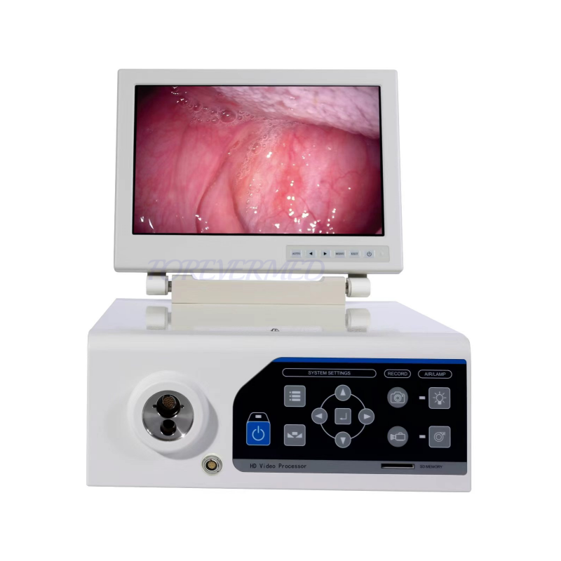 Veterinary Endoscope Video Giendoscope Bronchoscope Veterinary Endoscope Video Giendoscope Bronchoscope