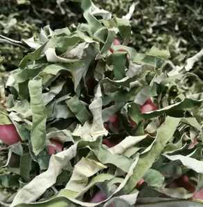 Nuove strisce naturali di foglie di loto a fette di colore verde - Product Image 2