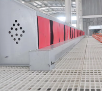 Équipement d'élevage avicole automatique, nichoir automatique pour poules pondeuses, boîte à œufs, nichoir pour poules