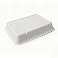 Conteneur d'emballage alimentaire moderne Oasis personnalisé 2000 ml, robuste, jetable, biodégradable, imperméable et résistant à la graisse, en bagasse
